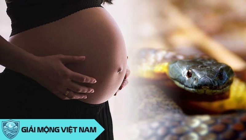 Bà bầu ngủ mơ thấy rắn là điềm báo may hay xủi trong tương lai?