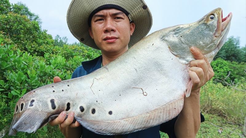 Nằm mơ thấy cá thác lác đánh con gì? Cá thác lác số mấy?