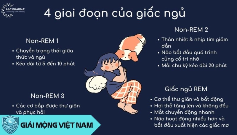 Phương pháp tối ưu hóa giấc ngủ REM cho trải nghiệm tâm linh sâu sắc