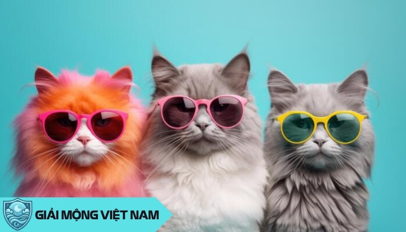 Nằm mơ thấy 3 con mèo: Điềm báo thiên thời hay nghịch cảnh trong tương lai