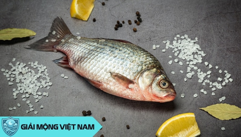 Nằm mơ thấy ăn thịt cá ý nghĩa lành hay dữ, đánh con gì?