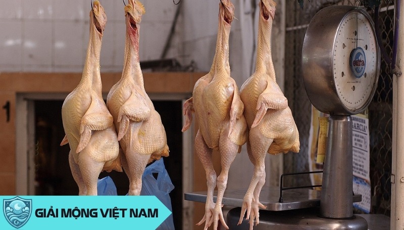 Nằm mơ thấy ăn thịt gà: Hé lộ bí ẩn tương lai thịnh vượng và hài hòa