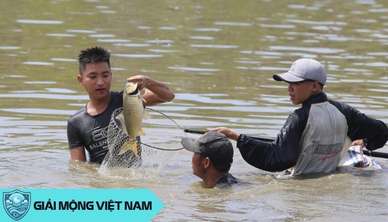 Nằm mơ thấy bắt cá: Dấu hiệu của sự thịnh vượng hay cảnh báo khó khăn? Đánh con gì?