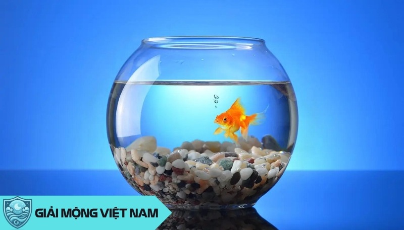 Nằm mơ thấy cá và nước có điềm báo gì, đánh con gì? Thông điệp từ tiềm thức