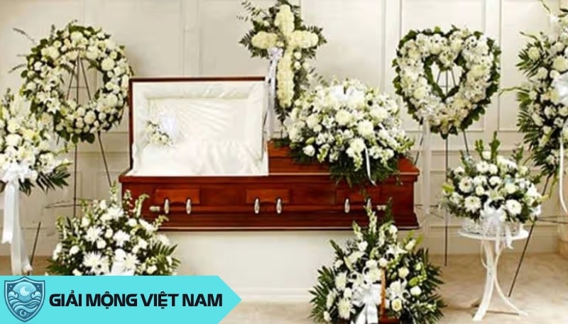 Nằm mơ thấy đám ma có hoa tang như cánh bướm lột xác, báo hiệu sự tái sinh kỳ diệu của tâm hồn đau khổ.