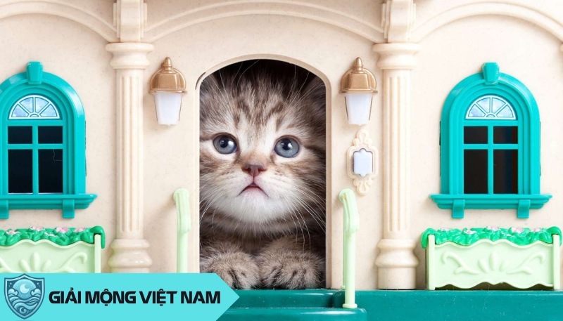 Nằm mơ thấy mèo vào nhà: Điềm lành hay dữ trong phong thủy? Đánh con gì?