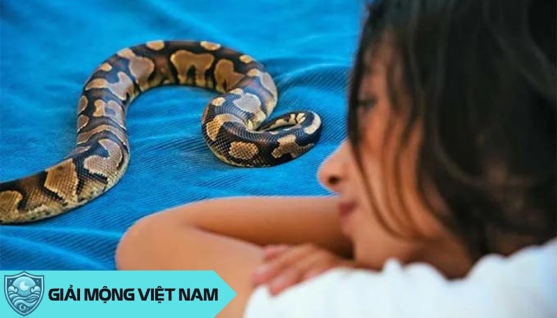 Nằm mơ thấy rắn bò lên người có ý nghĩa, điềm báo an hay nguy, đánh con gì?