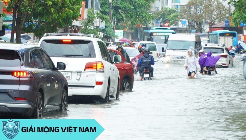 Giấc mơ nước tràn ngập như thông điệp từ cõi tâm linh, mang đến những lời khuyên sâu sắc về sự phát triển nội tâm và tâm hồn.