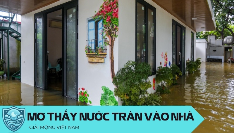 Giấc mơ nước tràn vào nhà như cuốn sách bí ẩn, mỗi trang chứa đựng những biểu tượng sâu sắc về cảm xúc dâng trào và tiềm thức đang khao khát được giải phóng.