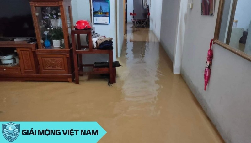 Lũ lụt tràn vào tầng trệt như một bài kiểm tra từ cuộc sống, thách thức nền tảng và sự ổn định mà bạn đã xây dựng.