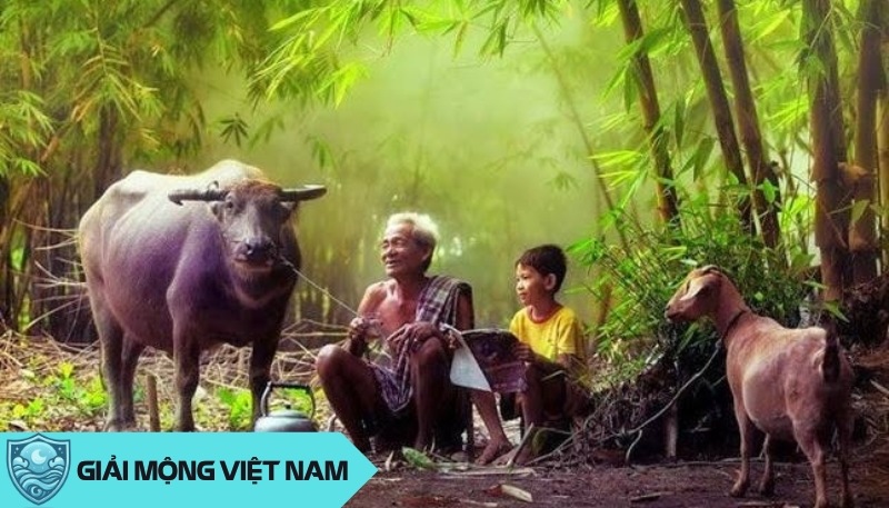 Nằm mơ thấy trâu đen: Giải mã vận mệnh từ giấc mơ về trâu đen thần bí