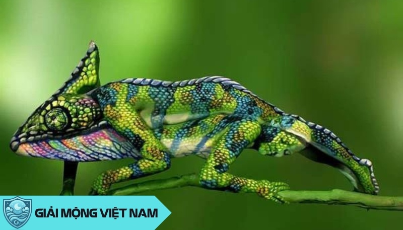 Tắc kè vào nhà: Nên đuổi đi hay giữ lại? Giải mã lợi ích và quan niệm dân gian